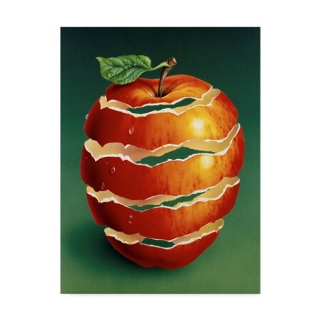 Harro Maass 'Red Apple Peal' Canvas Art,35x47
